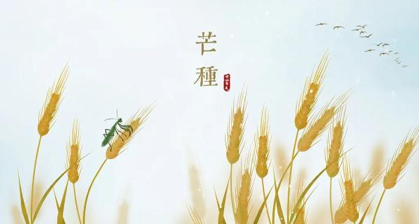 劳燕分飞的意思是什么意思（形容夫妻劳燕分飞的诗句）