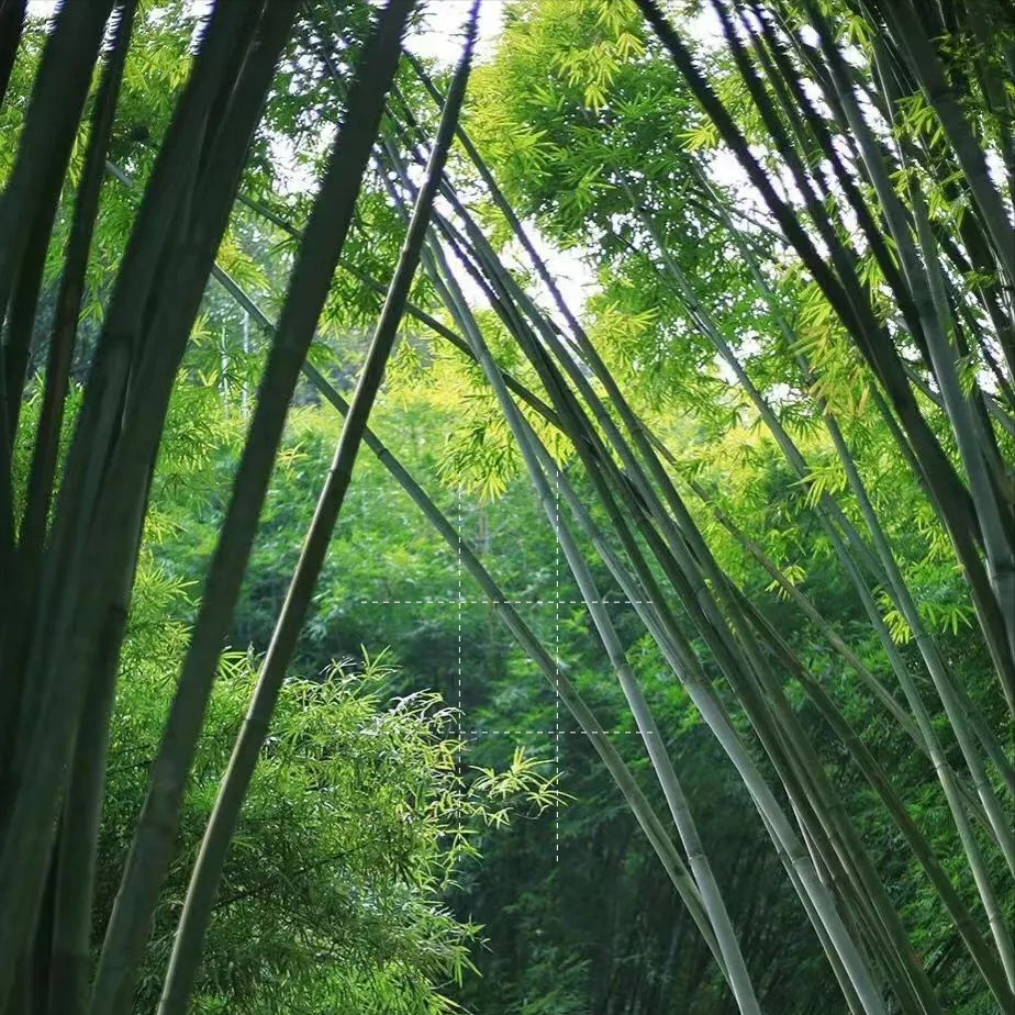 福州周边郊游景点推荐（福州郊区旅游景点推荐）