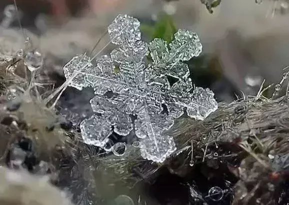 水在多少度时密度为多少呢（水在多少摄氏度的情况下密度）