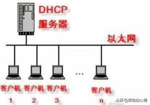 dhcp服务器配置实验心得和体会（dhcp服务器的配置实验报告）