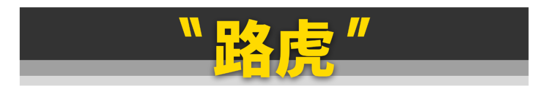 20到30万的车买什么好（30万左右的车前十位排行榜及价格）