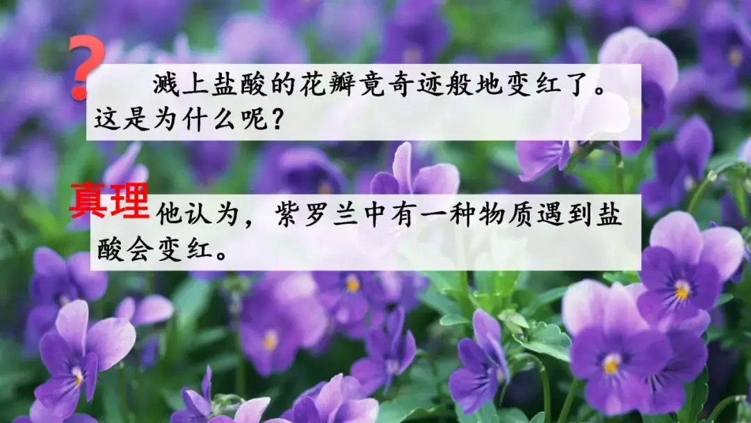 蚯的拼音和组词组词语（蚯的拼音和组词语是什么）