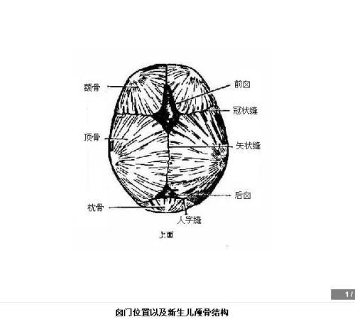 囟门在哪个位置示意图（囟门凹陷是营养不良吗）