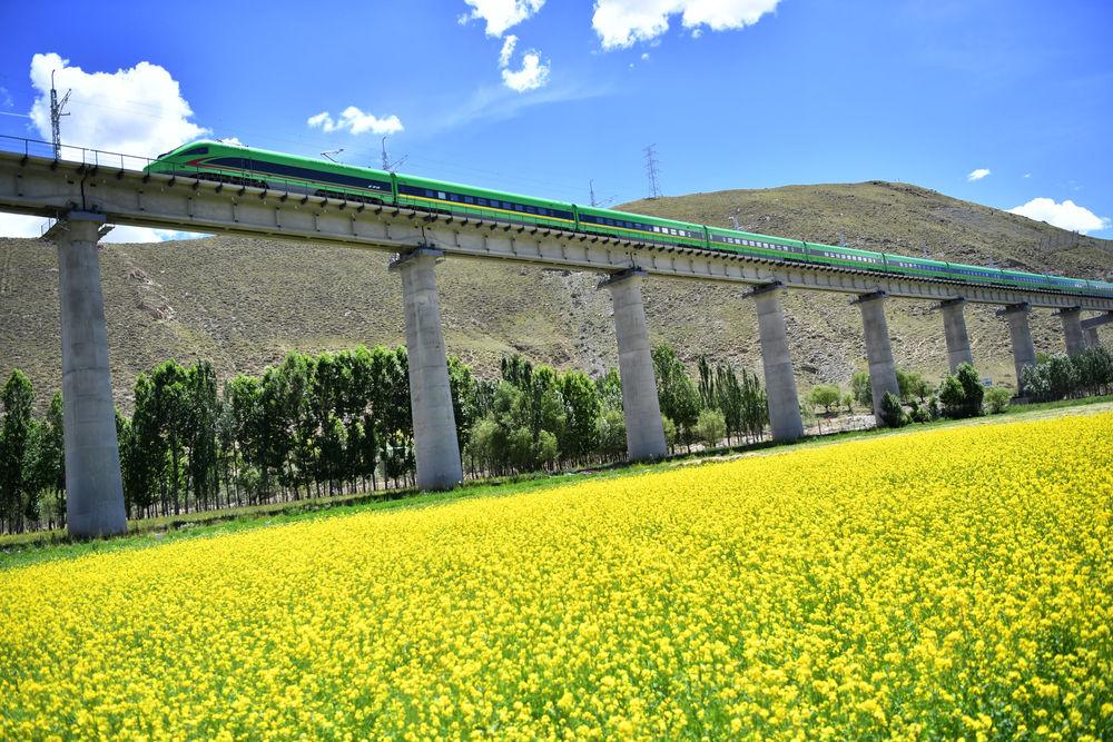 6月21日是什么节日中国（6月21号是啥节日啊）