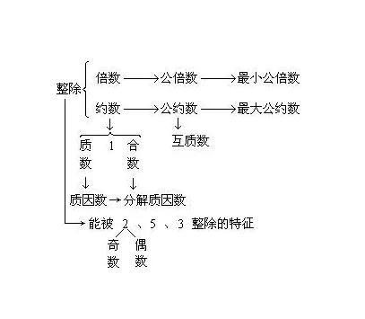 互质是什么概念和特点（互质数举例说明哪几种）