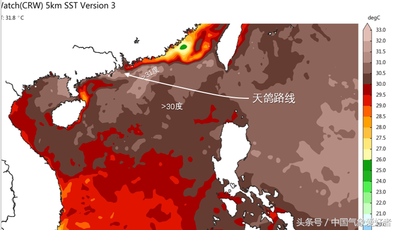 台风天鸽是哪一年哪月（为什么台风天鸽对澳门造成严重影响）