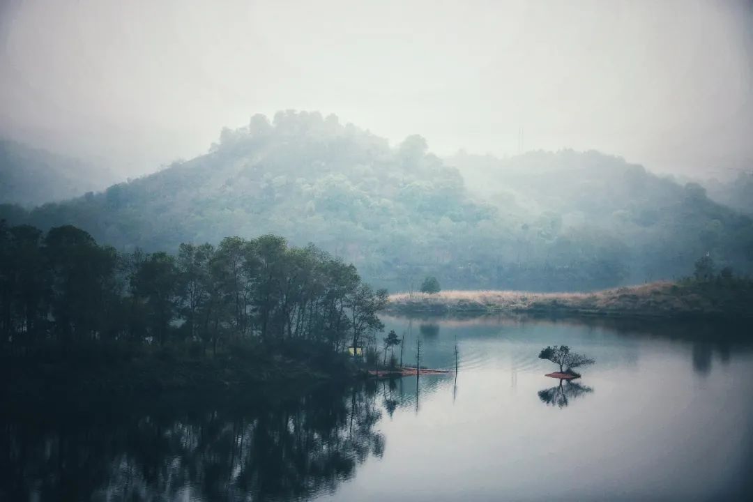 魂牵梦绕什么意思（魂牵梦绕,是什么意思）