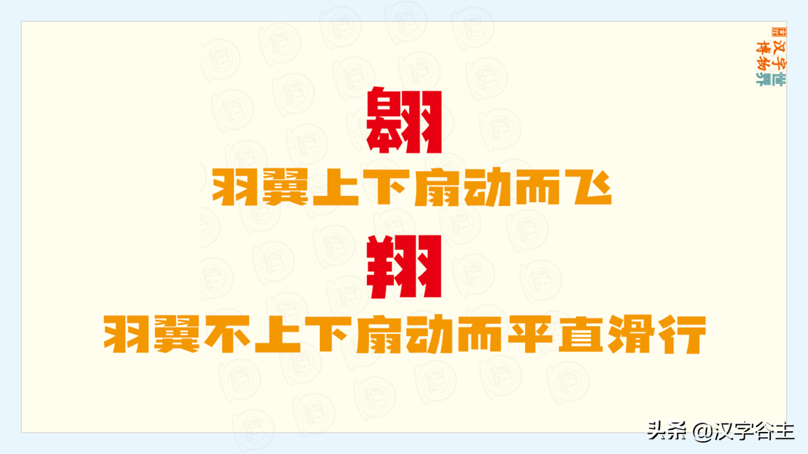 立羽念什么（立羽念什么字）