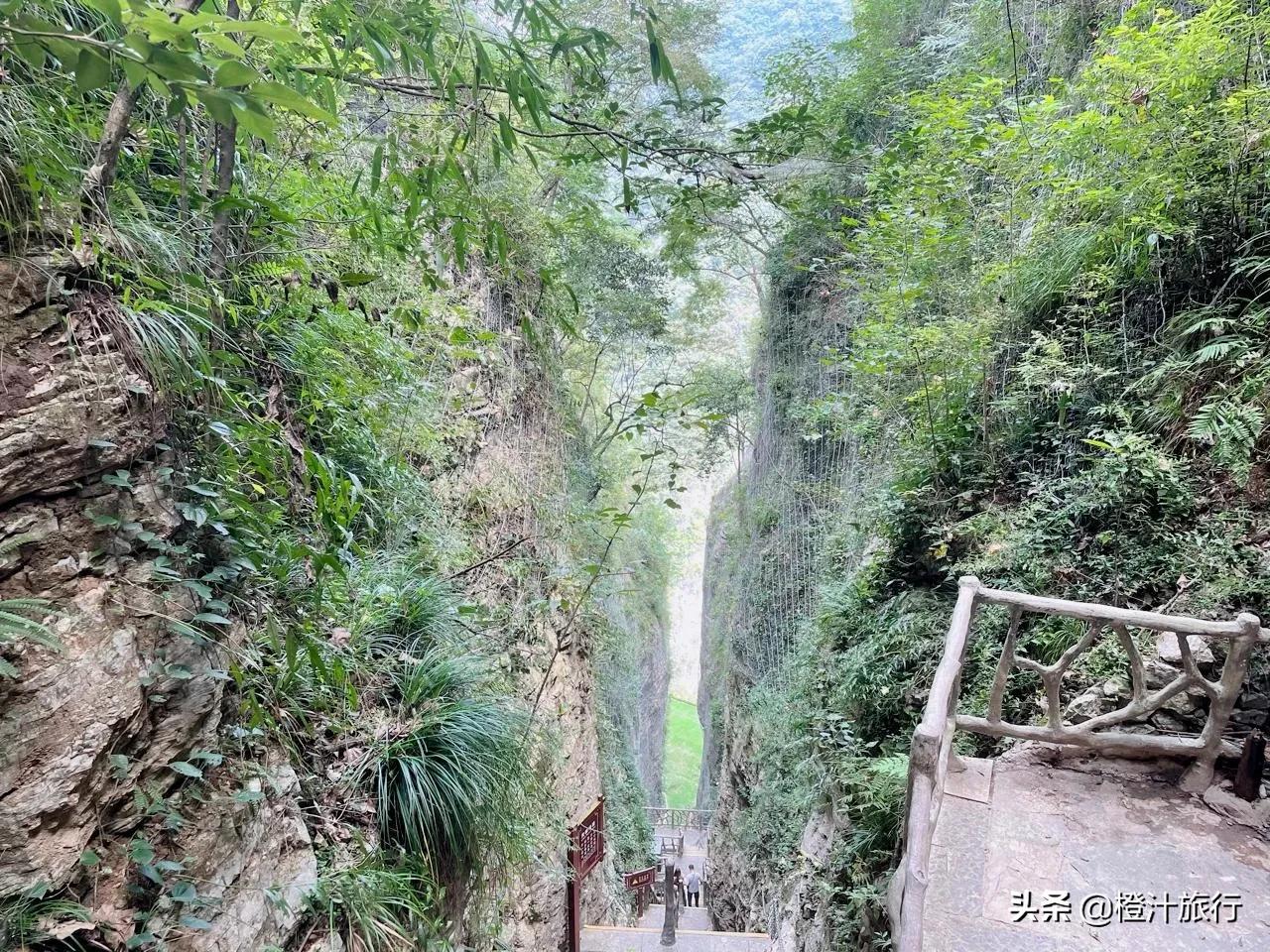 张家界旅游攻略自由行门票（张家界自由行游玩攻略图）