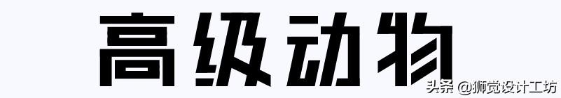 字体分析（字体研究报告作文450字怎么写）