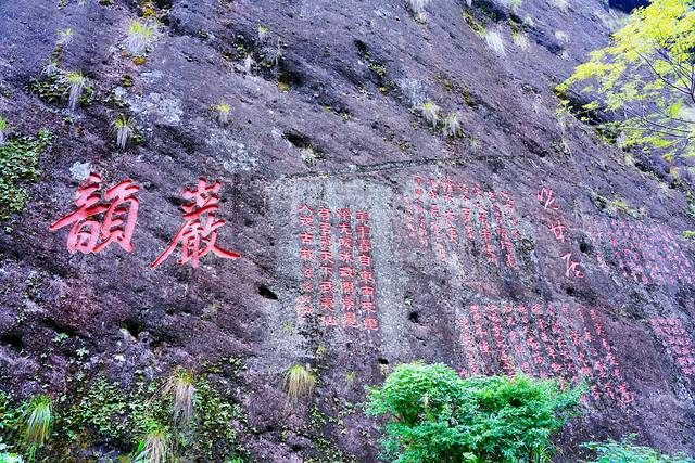 武夷山三日游多少钱(武夷山三日游路线)