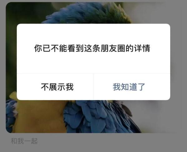 qq怎么查看两人共同好友非好友(qq查看两人共同好友完善资料)