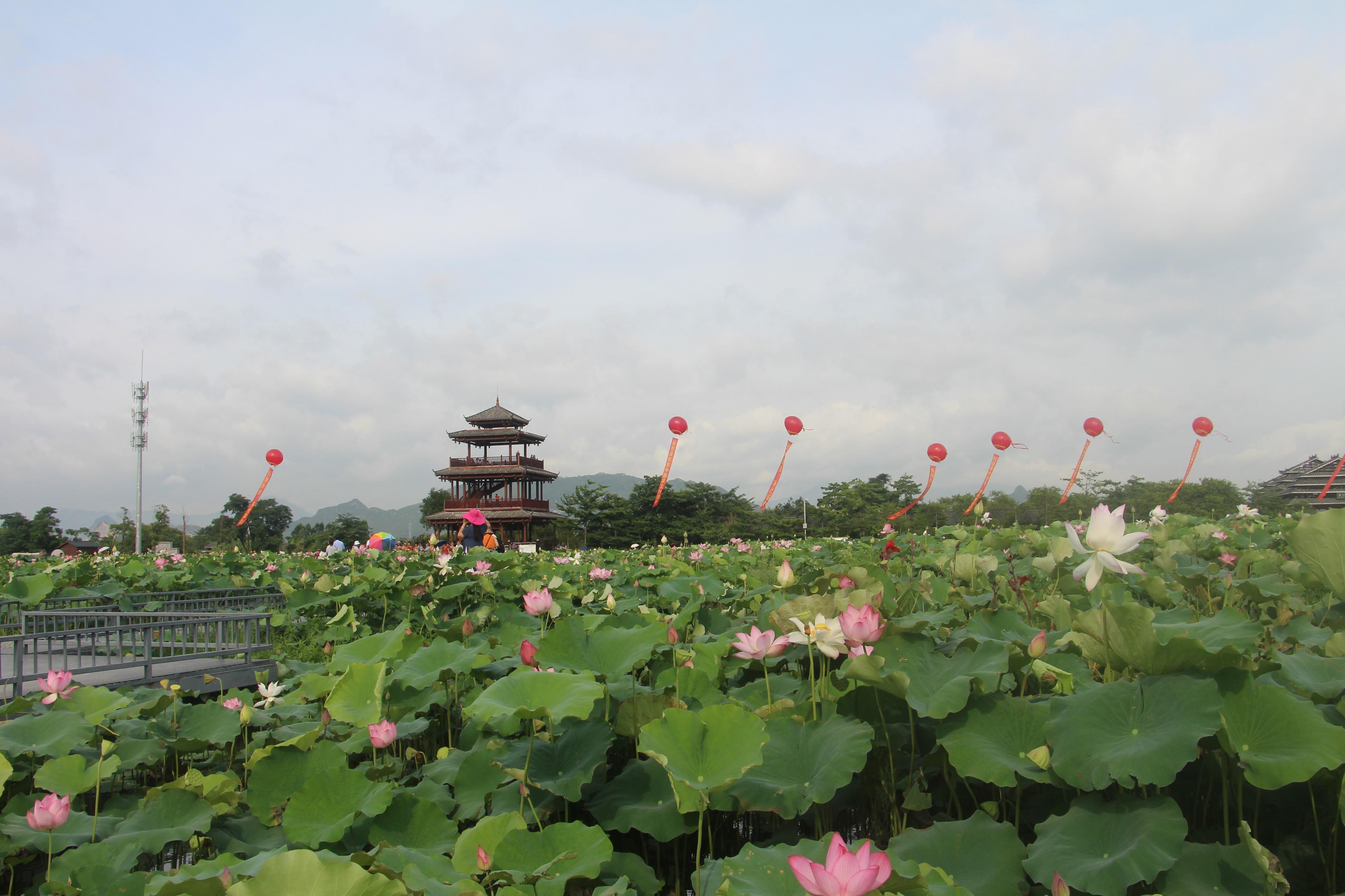 黔江哪里有好玩的地方(黔江及周边旅游景点)