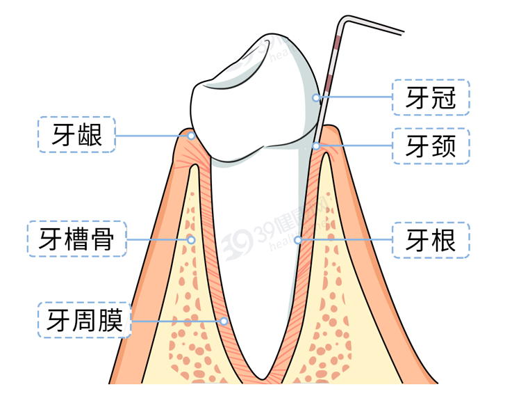 牙签断在手机取卡孔里怎么取出来(牙签枪两步做完简单教程)