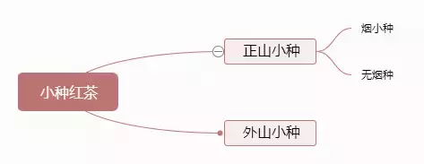 红茶分类及代表的品种(红茶排名一览表)