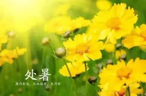 处暑节气的含义是什么(二十四节气所表示的含义)