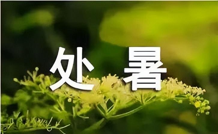 处暑节气的含义是什么(处暑节气的传统含义)