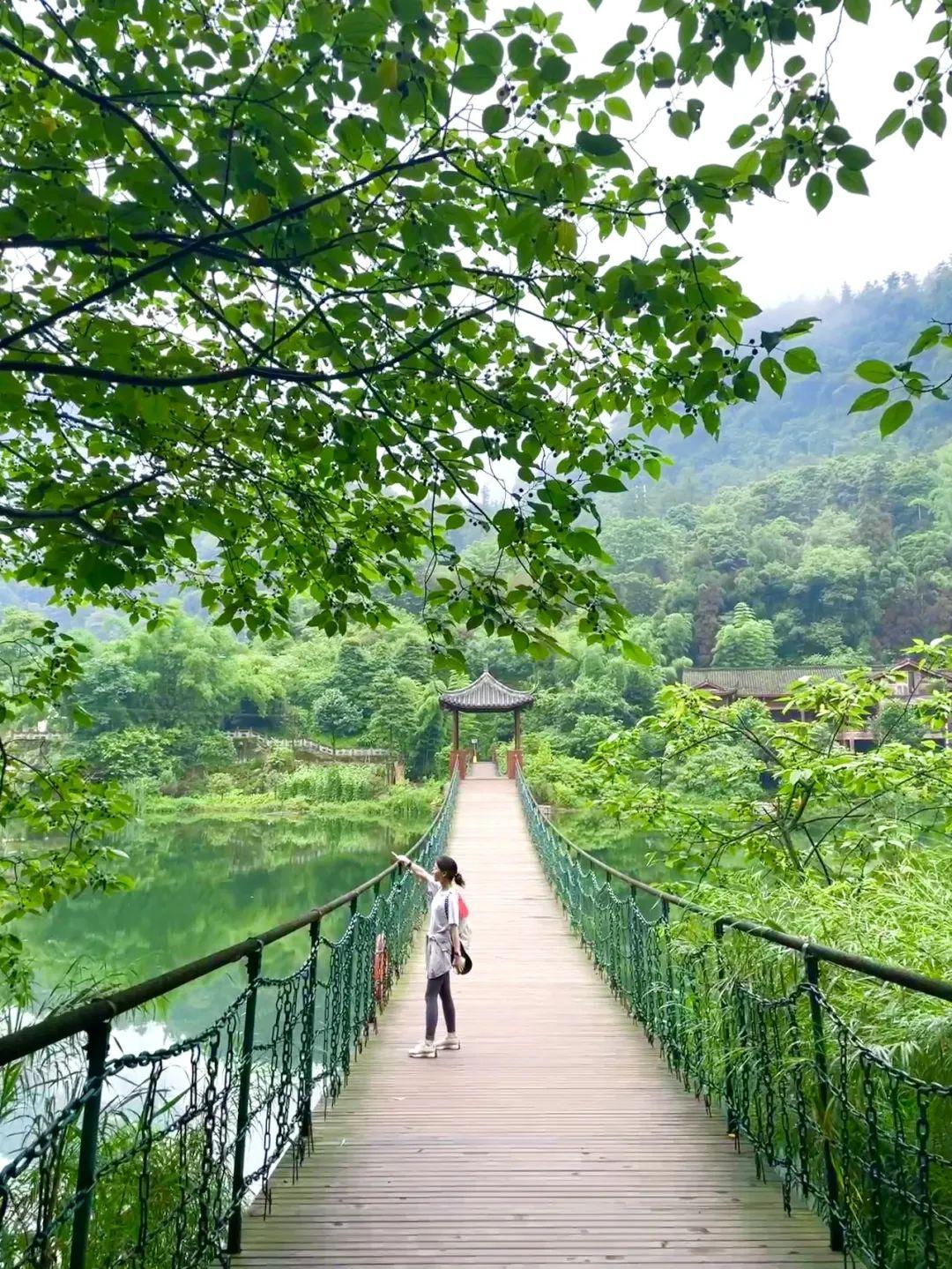 峨眉山旅游攻略(四川峨眉山游玩攻略)