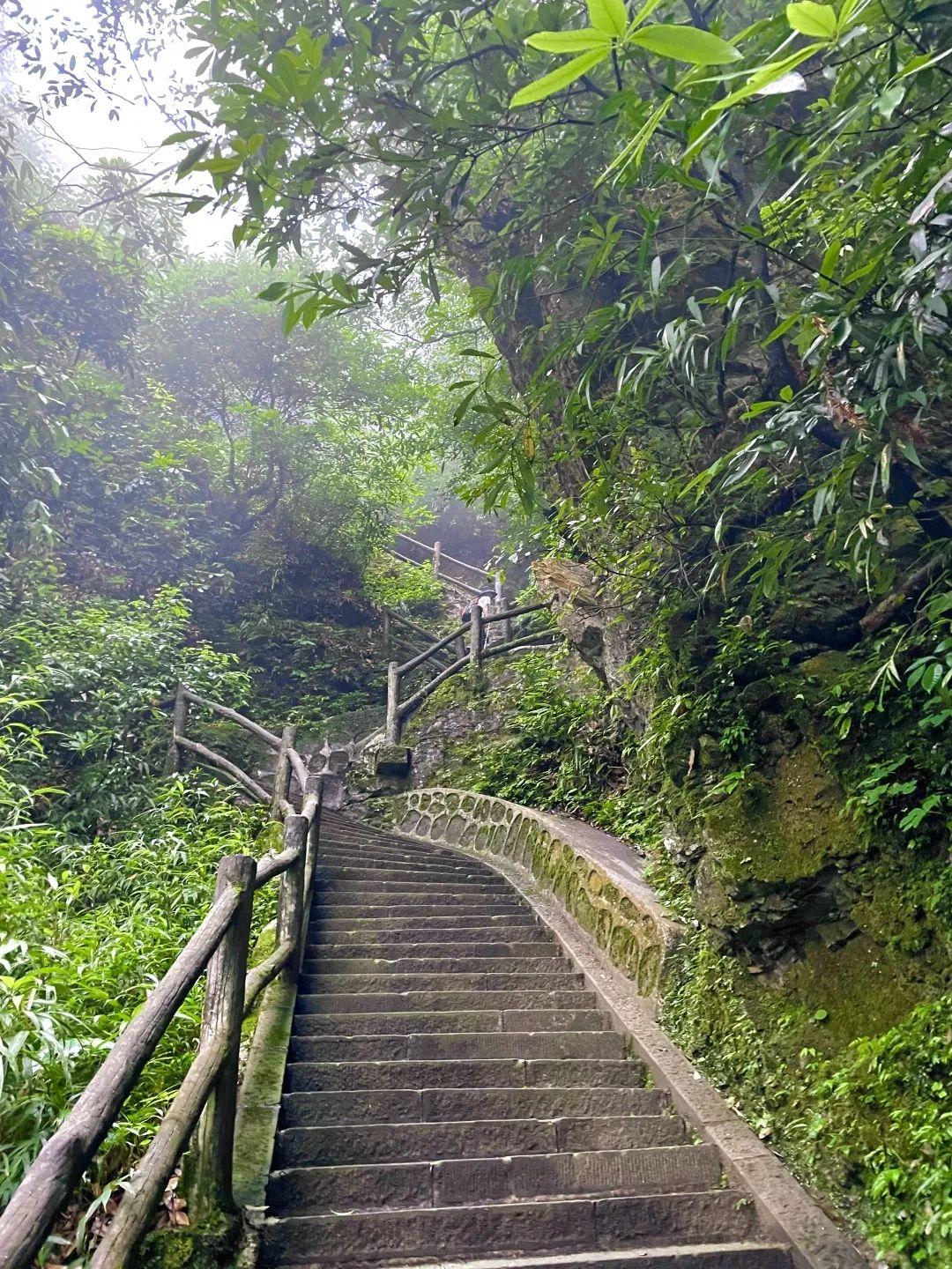 峨眉山旅游攻略(四川峨眉山游玩攻略)