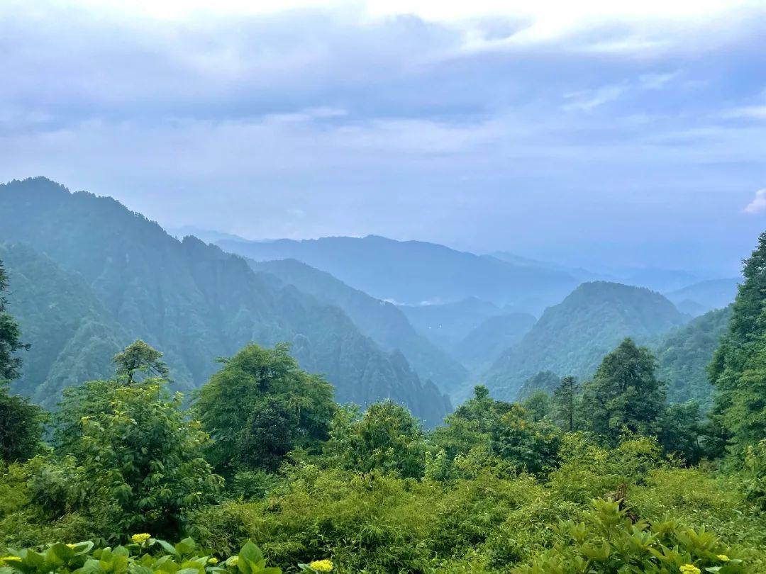 峨眉山旅游攻略(四川峨眉山游玩攻略)