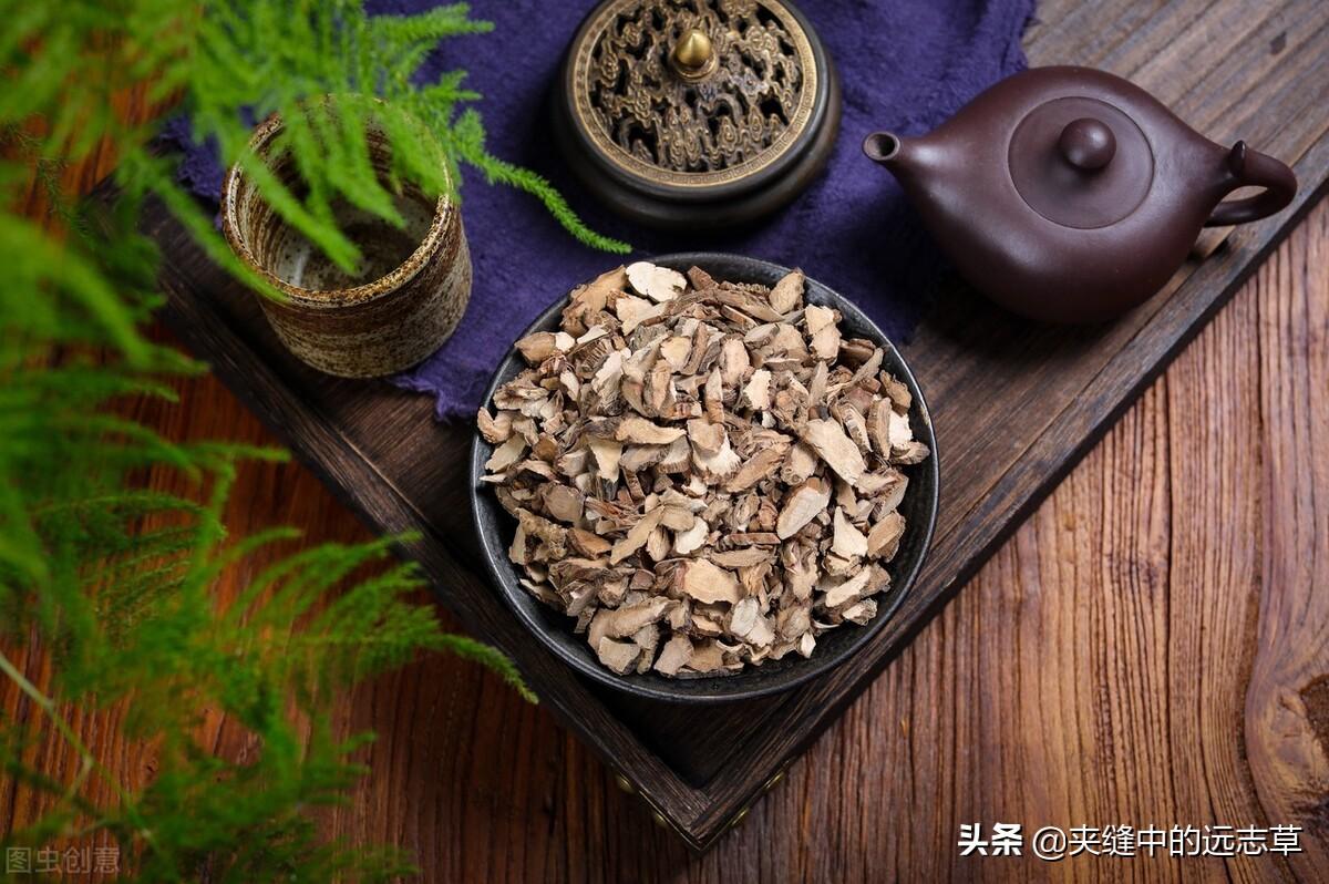 菖蒲的药效是什么（菖蒲的特点及功效作用）