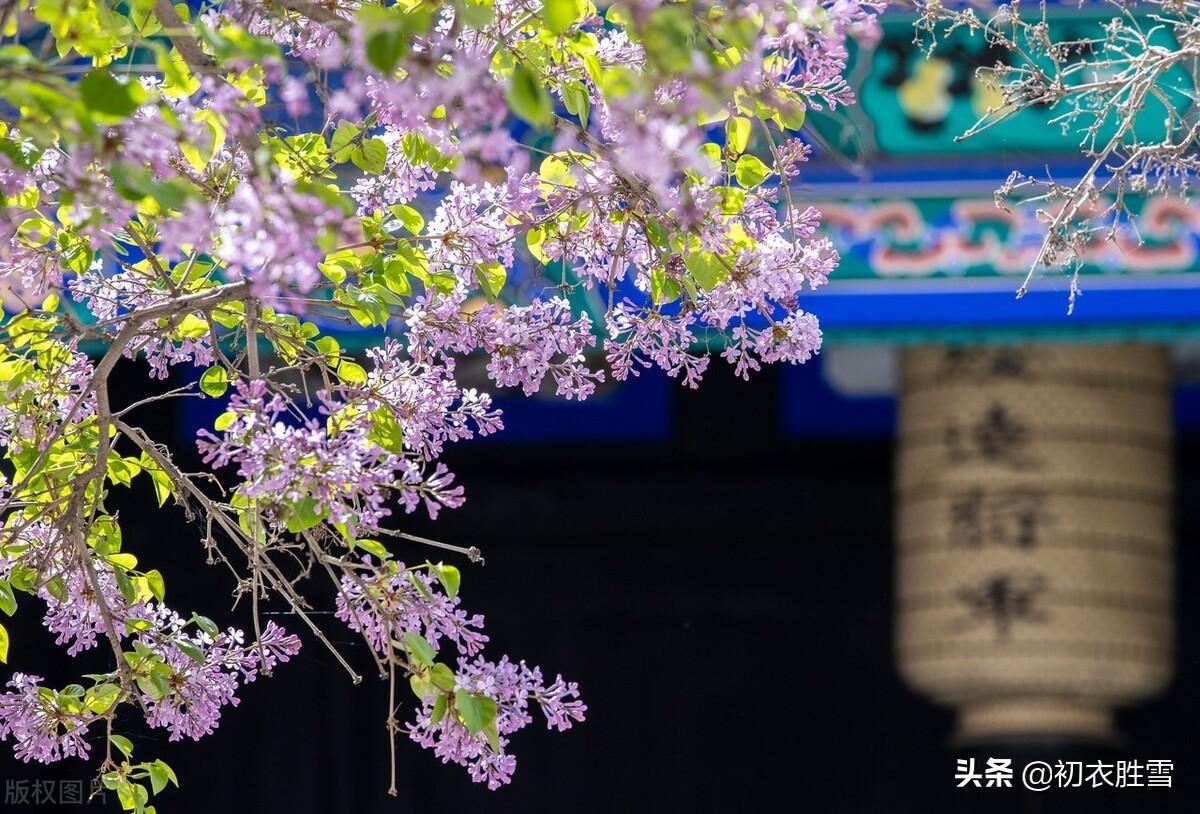 丁香空结雨中愁的上一句是什么作者是谁（南唐李璟山花子）